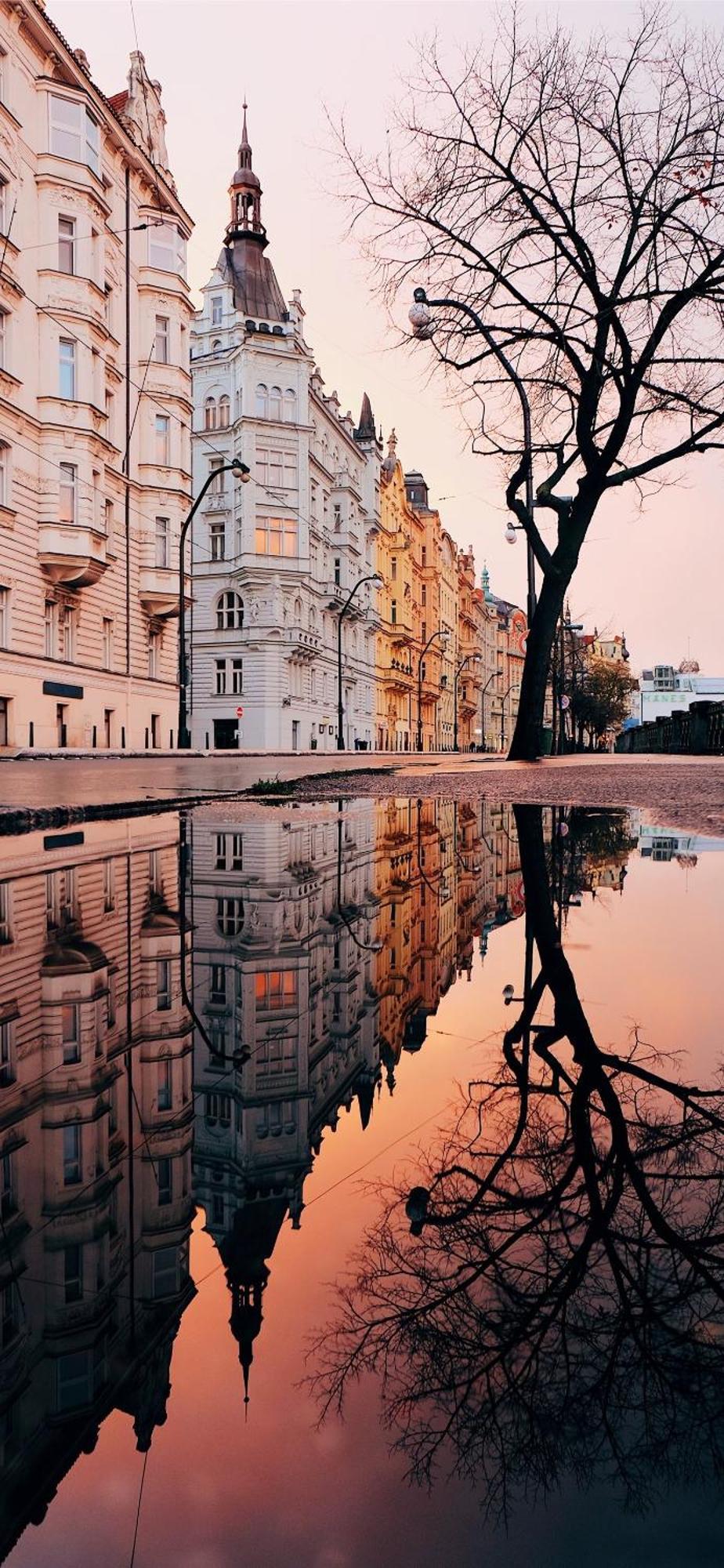 Center Of Prague Apartment 369 외부 사진